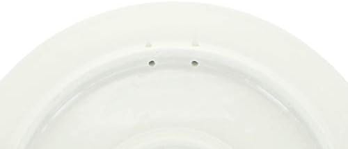 Polish-made dinner plate Blue Rose Polish Pottery Maria Pattern