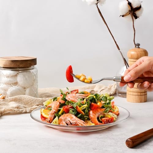 NATURAL GLASS PLATES CLEAR DINNER PLATE SET