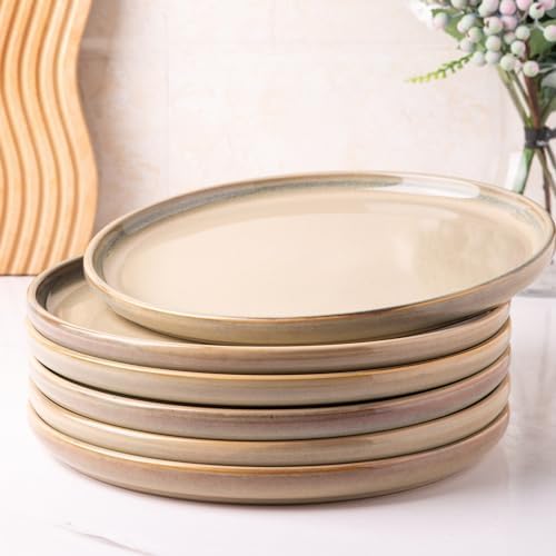 Handcrafted Raised Edge Dinner Plates Set 105 Inch Reactor Glaze Ceramic