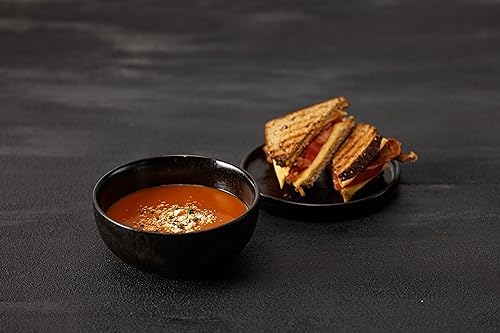 Fortessa Stoneware 16-Piece Dinnerware Set for Home Gifting Midnight