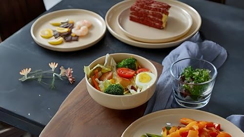 Melamine Dinnerware Set for 4