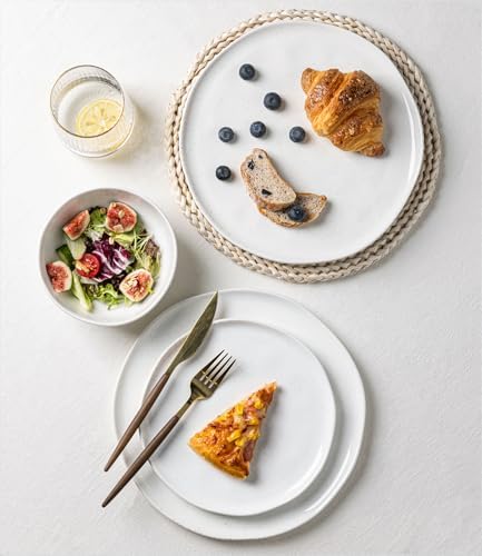 Elegant Ceramic Dinnerware Set for 4 Safe Durable