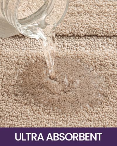 DEXI Bath Rug Microfiber 43x24 Non-Slip Soft Washable