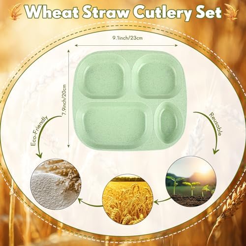 Vesici 8-Piece Divided Plates