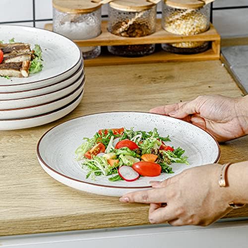 HVH Ceramic Dinner Plate Set 1025-inch White Farmhouse Style