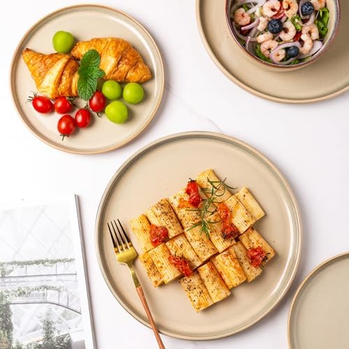 Handcrafted Raised Edge Dinner Plates Set 105 Inch Reactor Glaze Ceramic