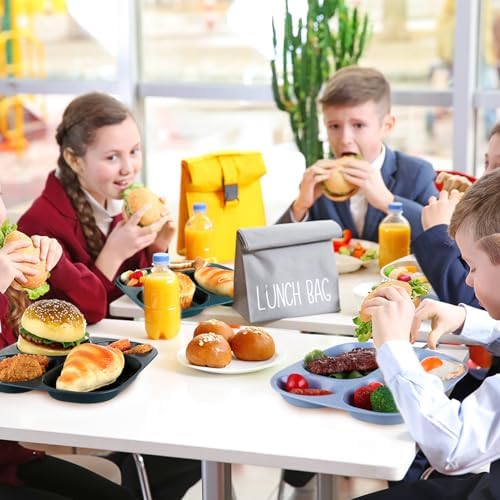 Vesici 8-Piece Divided Plates