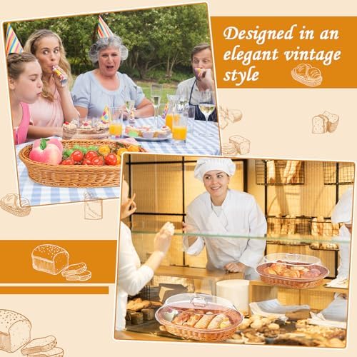Hushee 2-Set Imitation Rattan Baskets with Lid for Storage Display