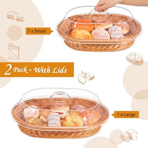 Hushee 2-Set Imitation Rattan Baskets with Lid for Storage Display