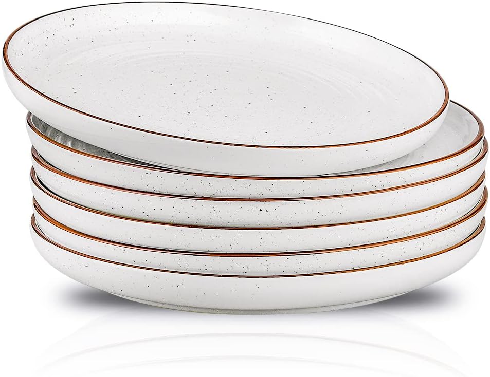 HVH Ceramic Dinner Plate Set 1025-inch White Farmhouse Style