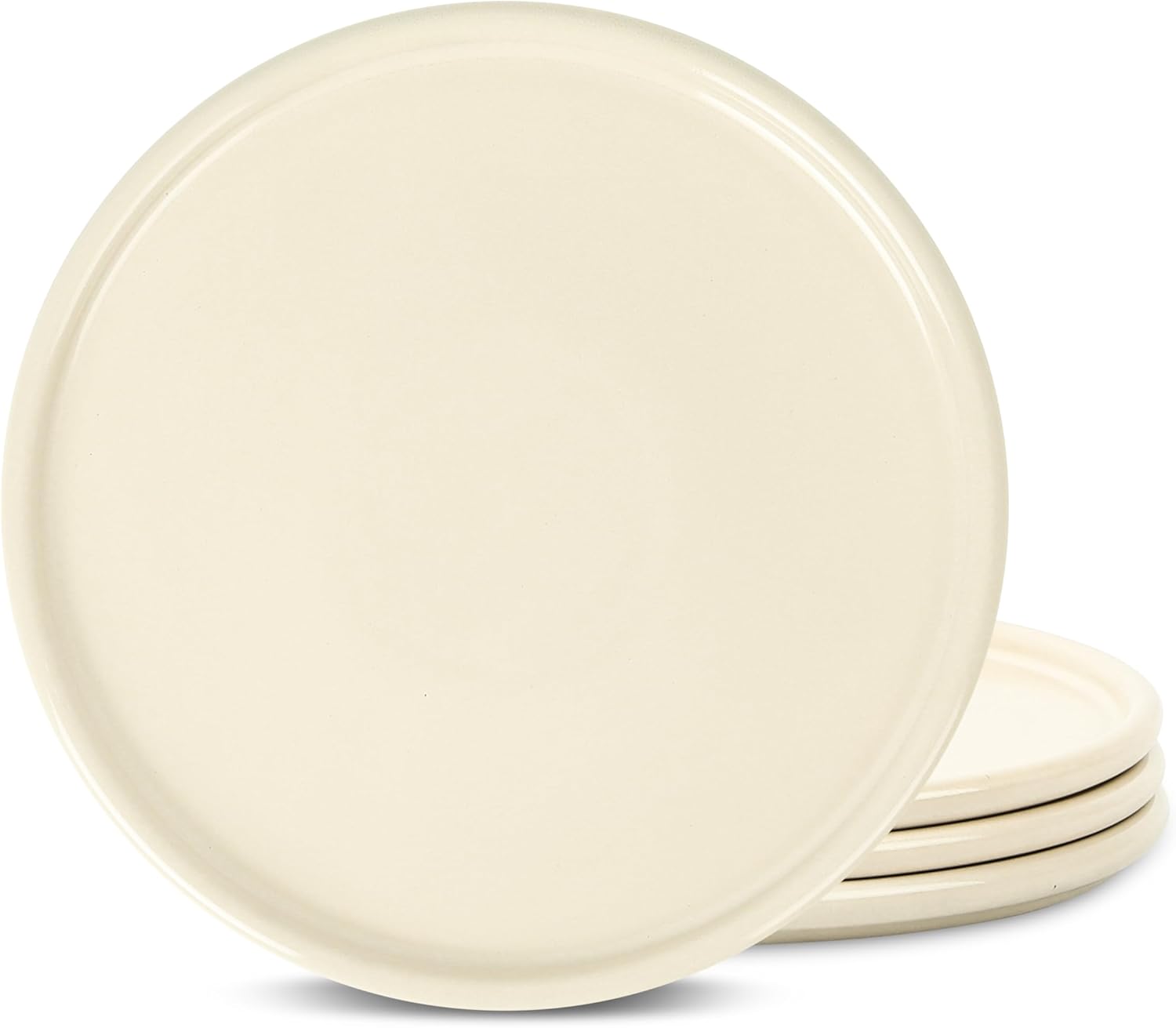 Stone Lain Eden 4-Piece Dinner Plate Set