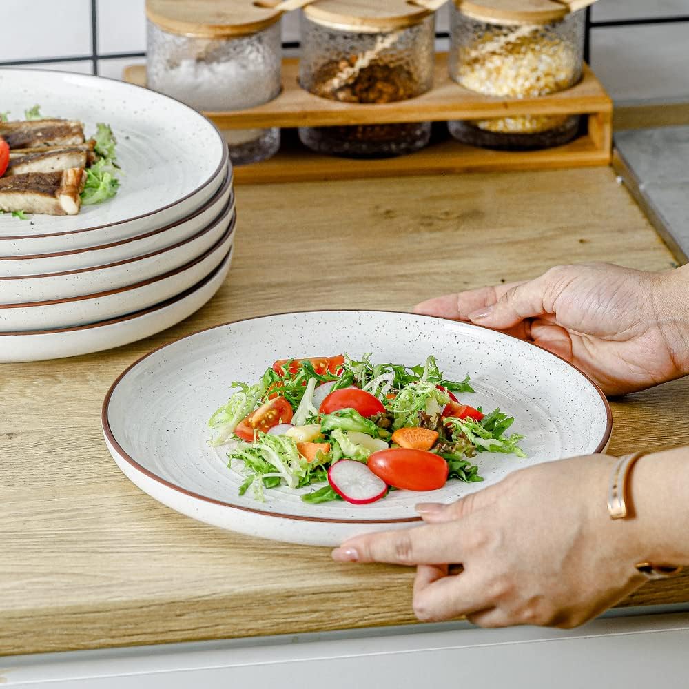 HVH Ceramic Dinner Plate Set 1025-inch White Farmhouse Style